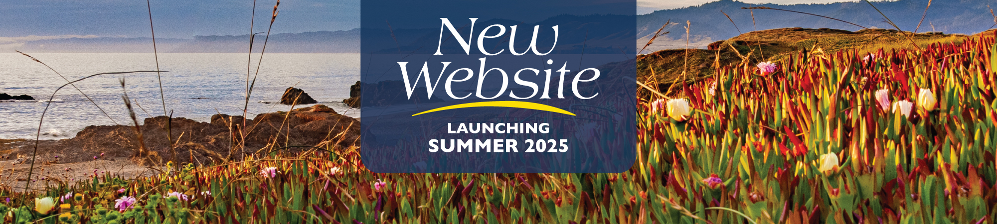 New website launching summer 2025