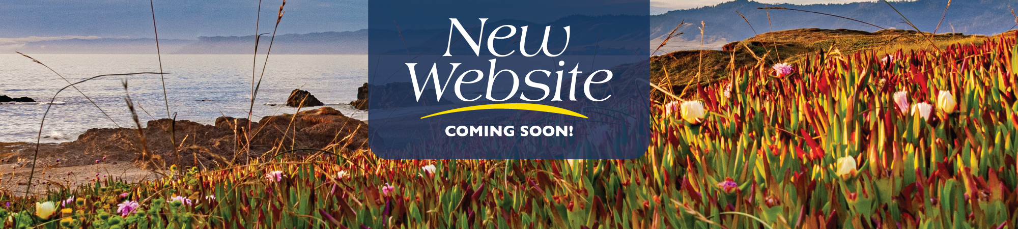 New website launching summer 2025